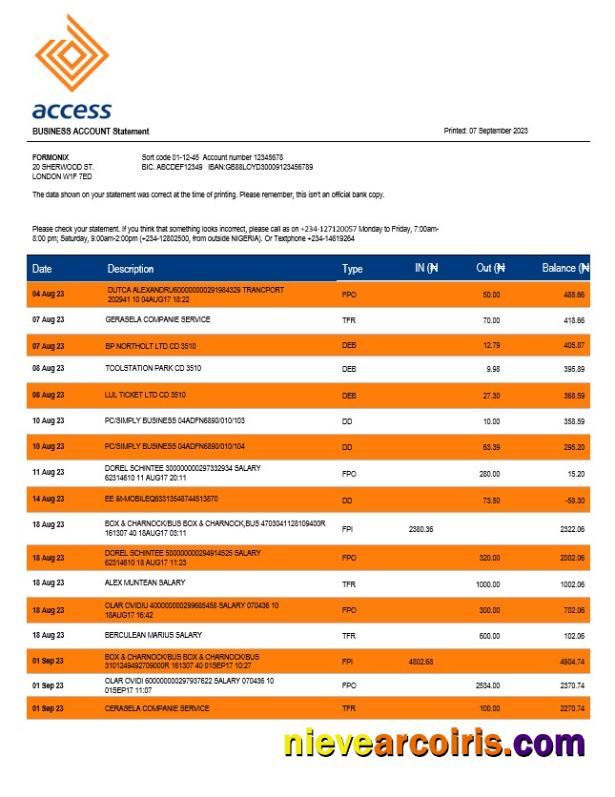 Access Bank company checking account statement